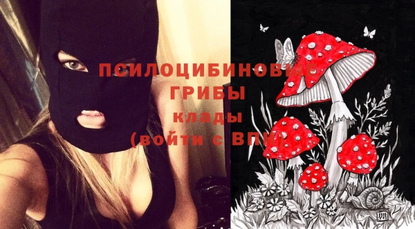 кокаин колумбия Алексин