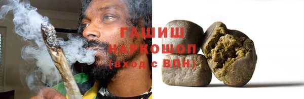 индика Туринск