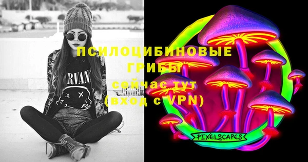 индика Алзамай