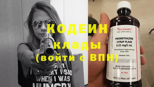 индика Алзамай